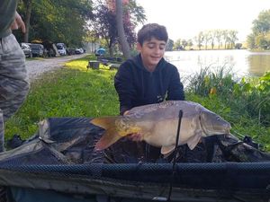 Mirror Carp