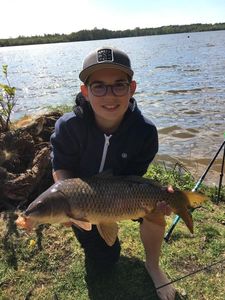 Common Carp