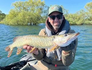 Northern Pike