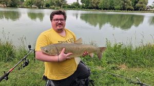Grass Carp