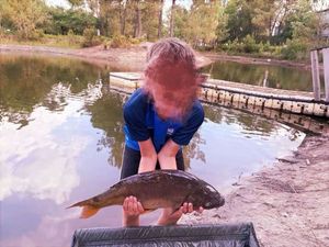 Common Carp