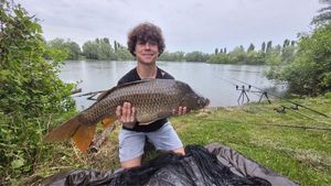 Common Carp