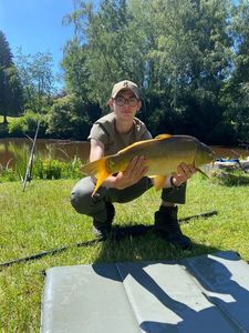 Mirror Carp