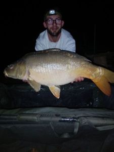 Mirror Carp