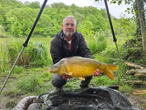 Mirror Carp