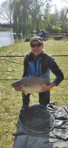 Mirror Carp