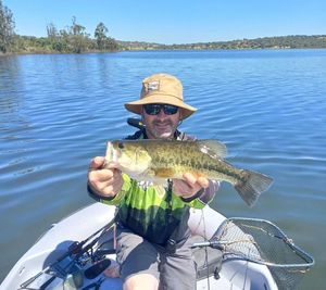 Largemouth Bass