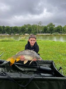Mirror Carp