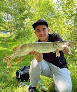 European Perch