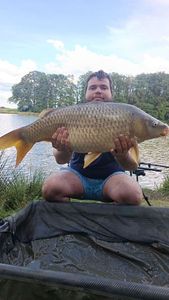 Common Carp