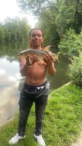 Barbel