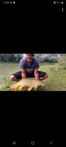 Mirror Carp