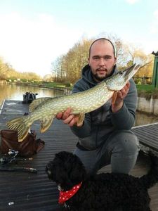 Northern Pike