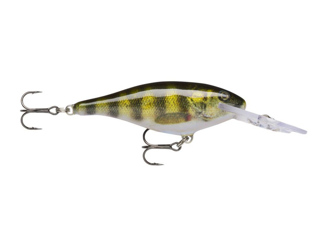 Lures Rapala BX Swimmer