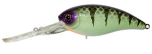 Lures Illex MASCLE DEEP 4 + TABLE ROCK PERCH