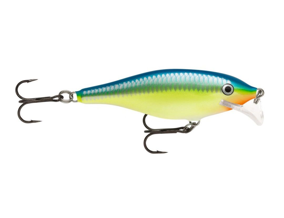 SCATTER RAP SHAD SCRS07 CARIBBEAN SHAD