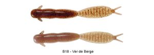 Lures Reins JÉ WORM MAXI 3.5" B18 - VERS DE BERGE