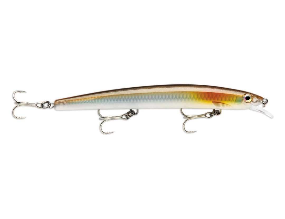 Best Rapala Lures for European Bass (Seabass) fishing