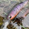 Le Brochet Occitan