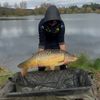 Ange multafishing Faye