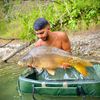 Full Carp