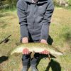 MaxBass Fishing 🔥