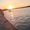 M8-Mathéo 🐟🎣🐬