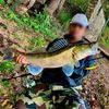 E&Z FISH