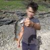 Aaron Thibaud