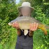 TCA Fishing