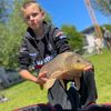 Quinten Windey