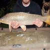 J’men Fish