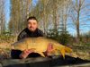 Yoann Taulet