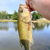 J-F FISHING