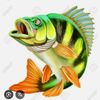 No Fish