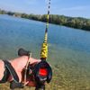 Matou Fishing