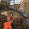 guillaume lacour
