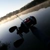 Willy Pike&perch