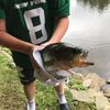 Neil🐟🎣 Lumeau