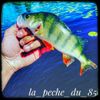 la_peche_du_85 🐟🐟