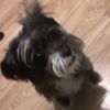 Kaydawg B