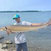 alexis seguin