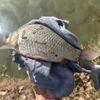 The fishman M