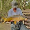 Alpha Fishing