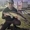 Yoyo Fish