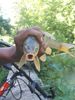 clement turpin