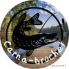 Carna-brochet .