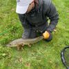 French Piker