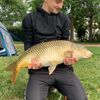 Dnv Fish