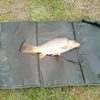 Clément _CarpFishing